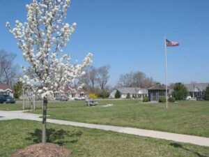 williamsburg green space